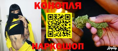 СК Камышлов