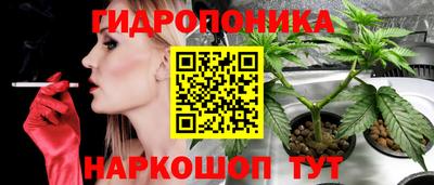 СК Камышлов