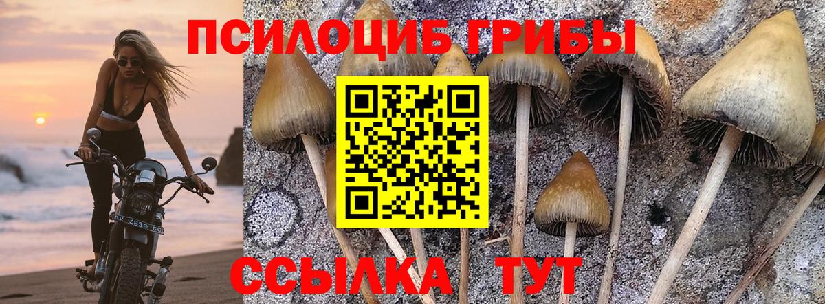 Псилоцибиновые грибы Psilocybine cubensis  Вход с VPN  Кудымкар 