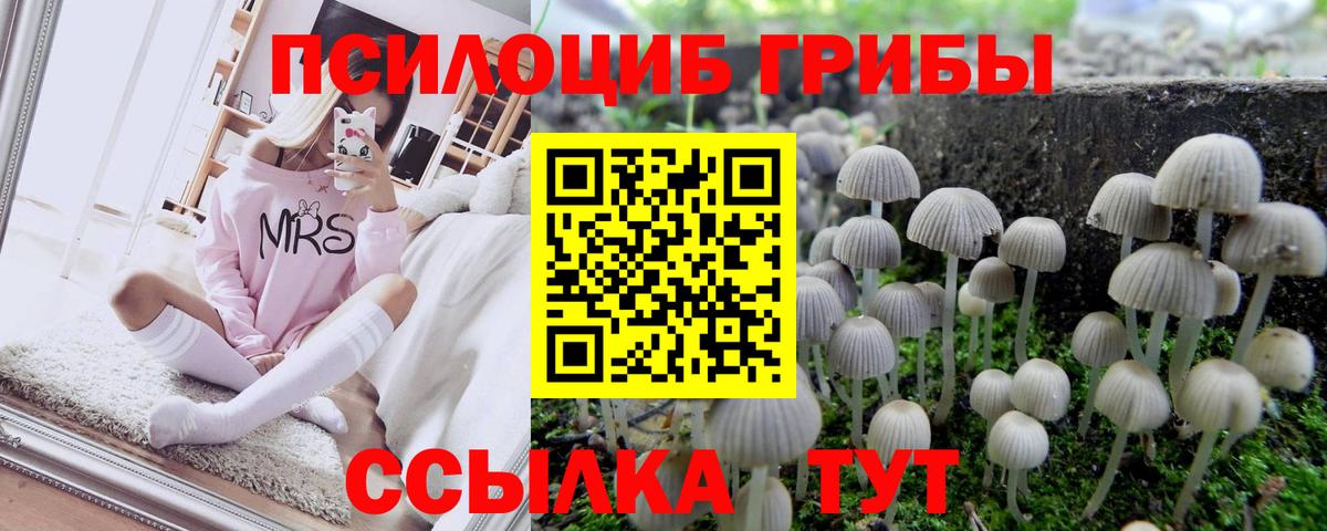 Галлюциногенные грибы мицелий Кудымкар